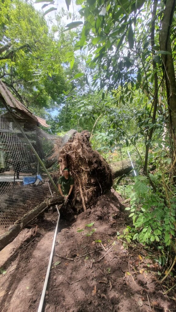 ARCAS Guatemala Rainstorm Recovery Campaign