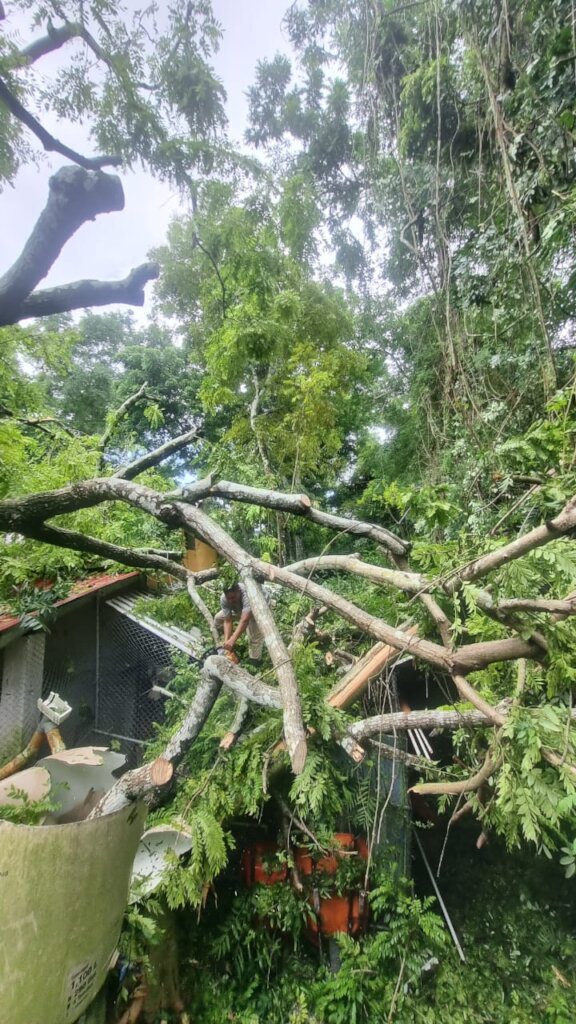 ARCAS Guatemala Rainstorm Recovery Campaign