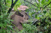 ARCAS Guatemala Rainstorm Recovery Campaign
