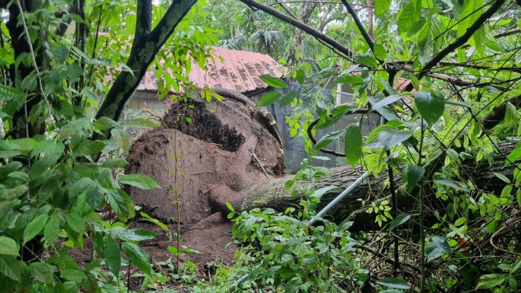 ARCAS Guatemala Rainstorm Recovery Campaign