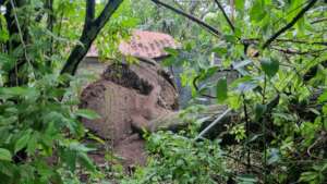 ARCAS Guatemala Rainstorm Recovery Campaign