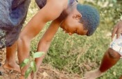 Planting Hope: Empower Girls with Fruit Trees