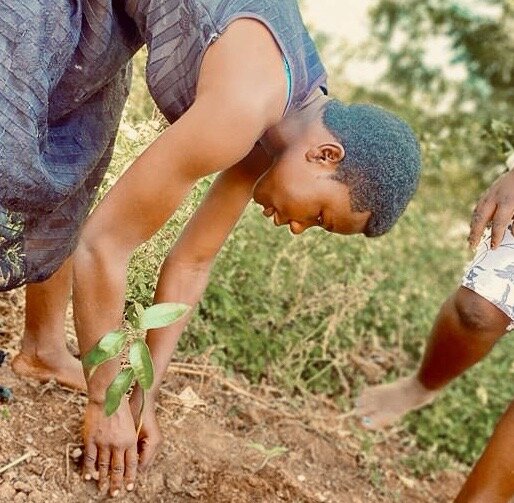 Green and Rewild Degraded Land with Native Trees