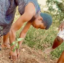 Planting Hope: Empower Girls with Fruit Trees