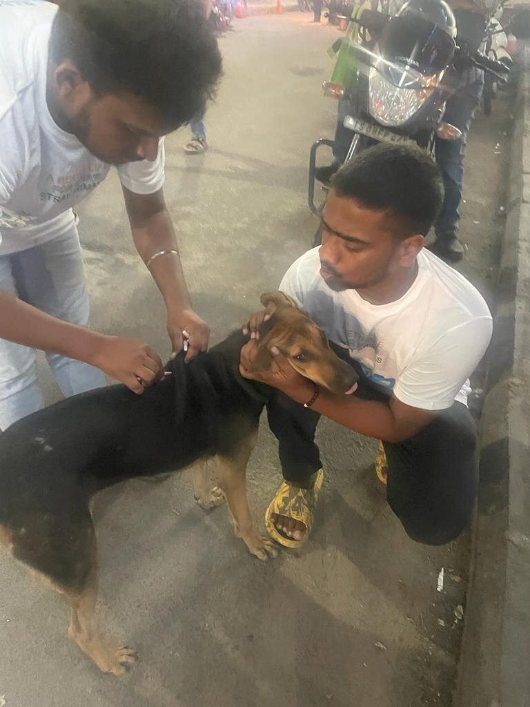 Rabies Vaccination Drive 2023