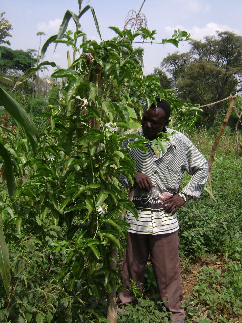 child health and nutrition support.