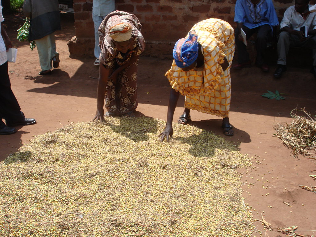 child health and nutrition support.