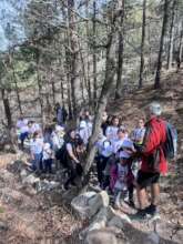 Mountain orientation