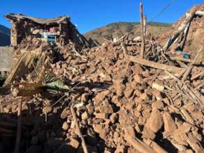 Earthquake damage