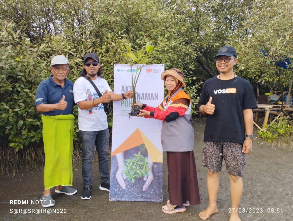 Help plant 10,000 mangrove trees in Indonesia