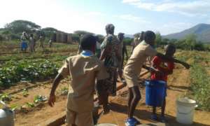 Scouts Helping Women Plant Vegetables