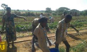 Scouts Helping Women Plant Vegetables