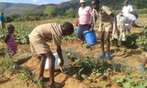 Scouts Helping Women Plant Vegetables