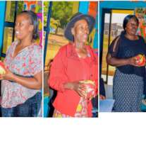 Teacher Training Workshop