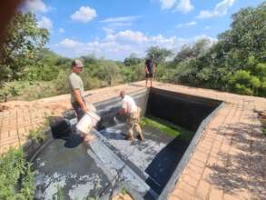 Cleaning the Tiger swimming pool