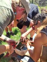 Clipping those ingrown nails