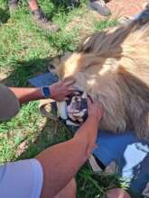 Teeth looks very good