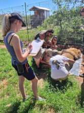 Noting down all the checks