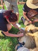 Some eye drops to prevent dry eyes