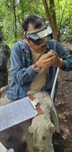Checking the age and vigor of the bird
