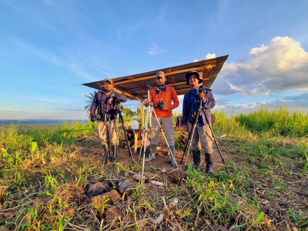 Watch over a migrating bird in Central America!