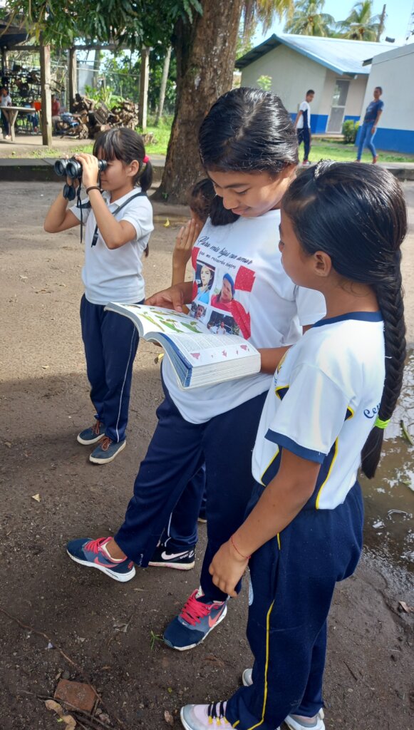 Watch over a migrating bird in Central America!
