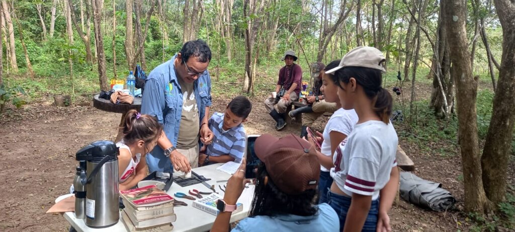 Watch over a migrating bird in Central America!