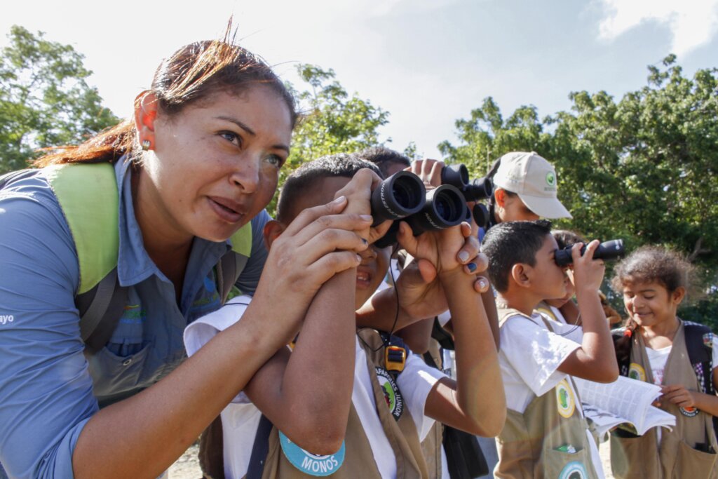 Watch over a migrating bird in Central America!