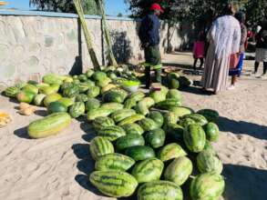A bountiful watermelon harvest.