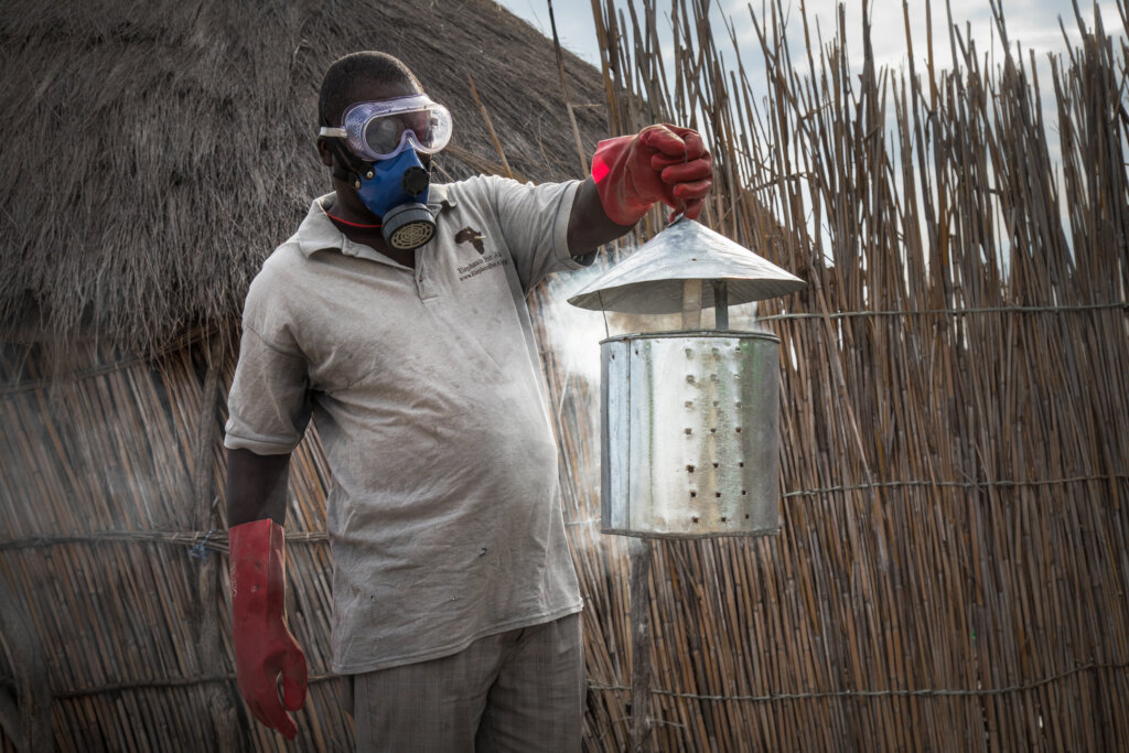 Elephants for Africa's Community Empowerment