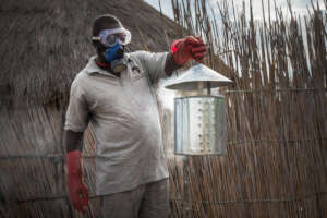 Using chillis to ward off elephants