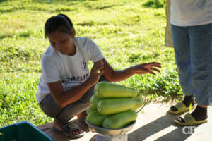 Vegetables for household consumption.
