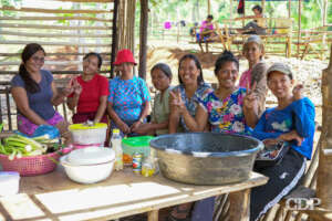 Empowering small farmers to boost productivity.