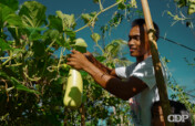 Abot-Kamay Community Solidarity Fund