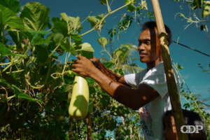 Abot-Kamay Community Solidarity Fund