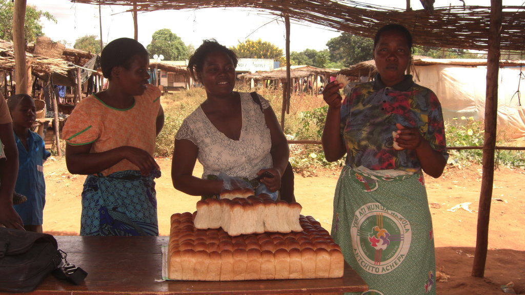 Provide long-term livings for 300 women in Malawi