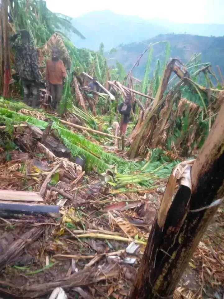 Thousands of people displaced by floods