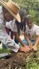 Our 4th consecutive year planting in Honduras