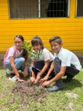 School orchard planting in Honduras (July 2024)