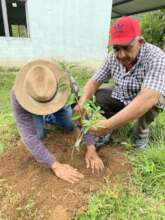 School orchard planting