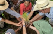Reforestation for rural livelihoods in Honduras