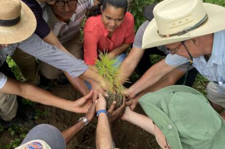 Reforestation for rural livelihoods in Honduras