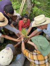 Reforestation for rural livelihoods in Honduras