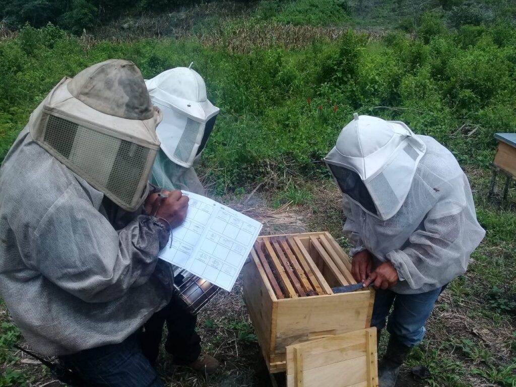 Help 300 beekeepers obtain organic certificate