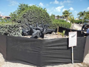Barriers to protect nesting mama croc and her nest