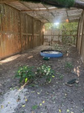 Newly constructed "L" shaped flight aviary