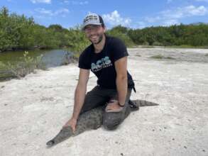 Aces' new executive director releases rescued croc