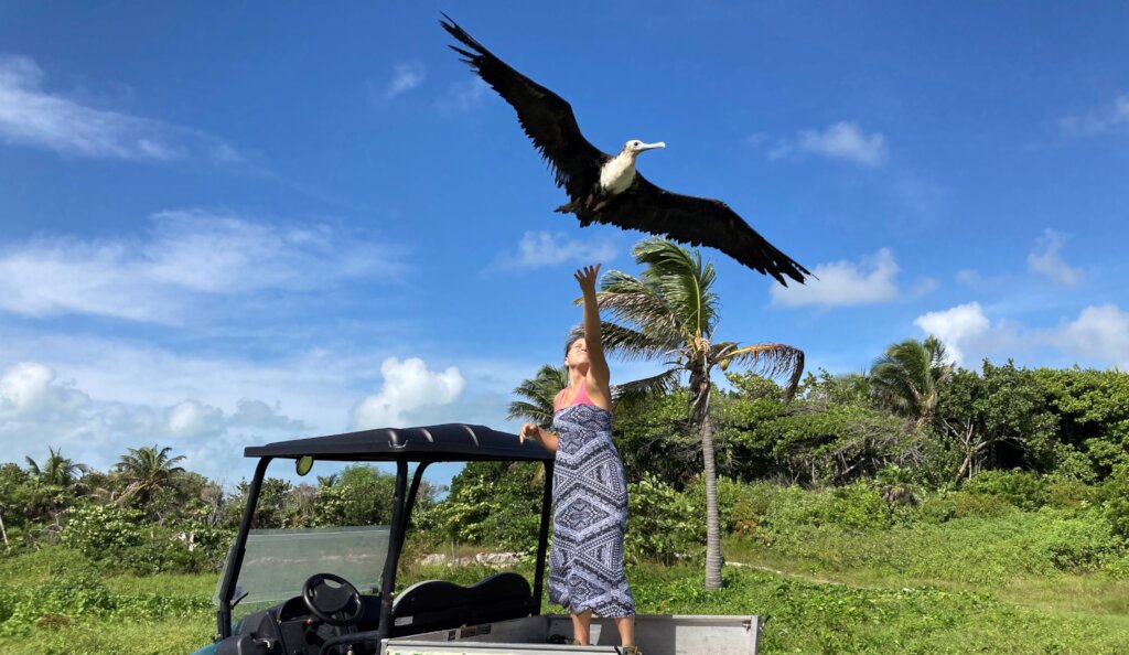 Saving Wildlife On The Cayes of Belize