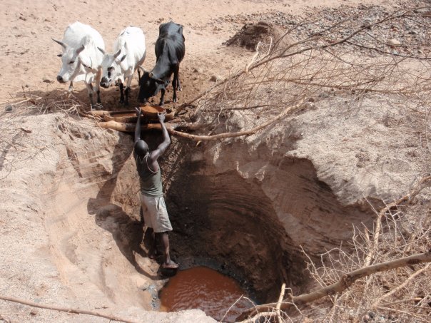 URGENT RELIEF: Cholera Killing Children NEED WATER