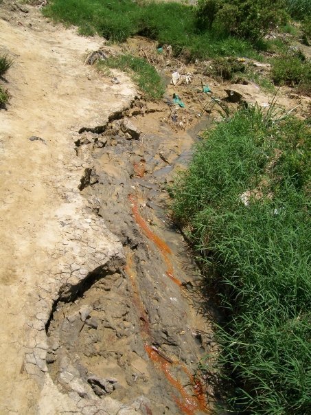 URGENT RELIEF: Cholera Killing Children NEED WATER